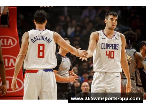 快船队最新球员阵容一览