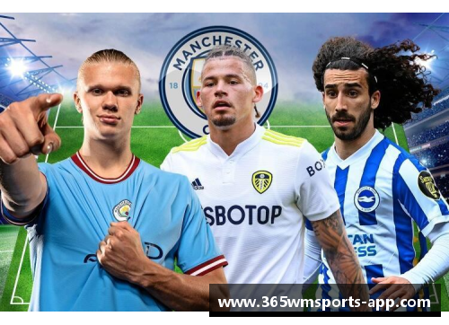 曼城2016年阵容：黄金时代的珍贵名单