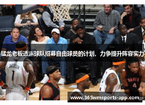 猛龙老板透露球队招募自由球员的计划，力争提升阵容实力