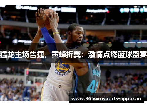 猛龙主场告捷，黄蜂折翼：激情点燃篮球盛宴
