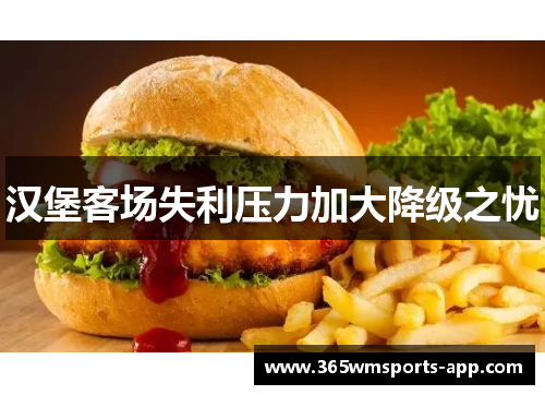 汉堡客场失利压力加大降级之忧